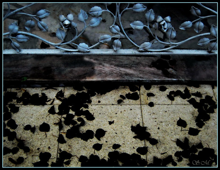 Fotografie(023).jpg