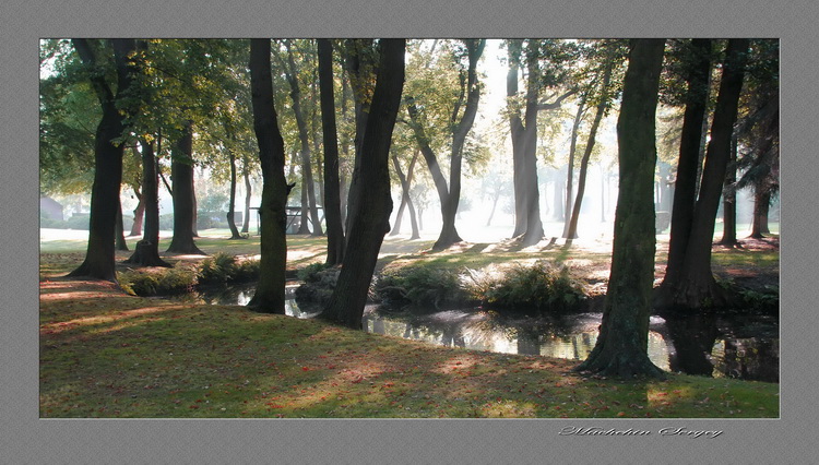 Fotografie(034).jpg