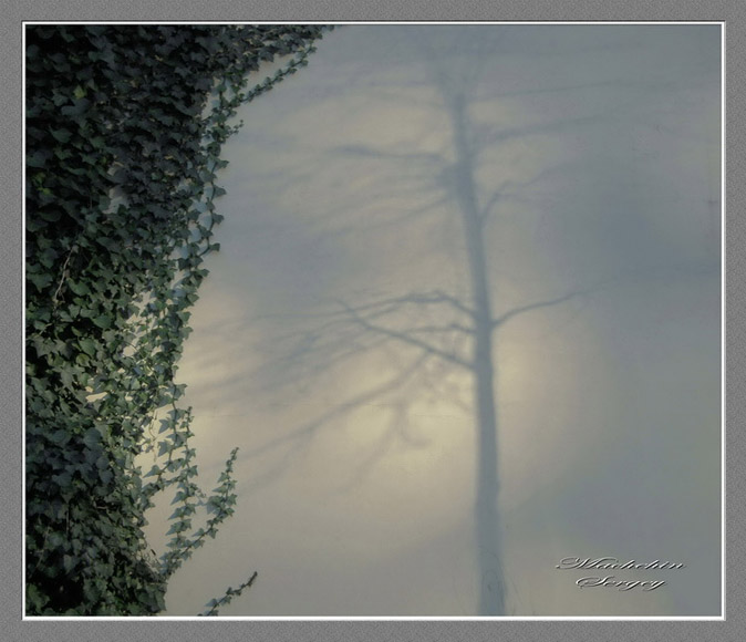 Fotografie(040).jpg