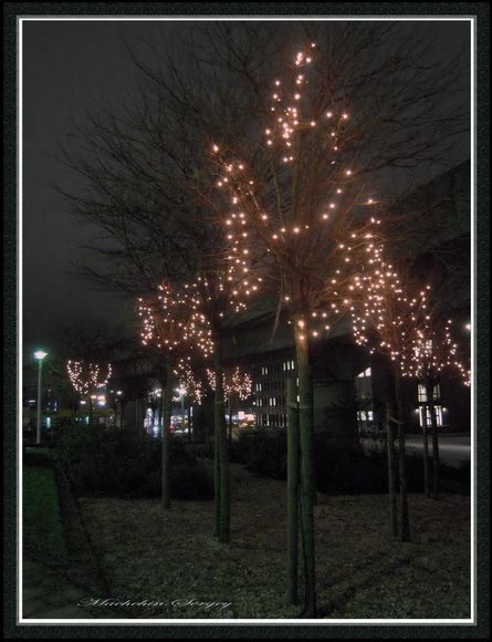 Fotografie(041).jpg