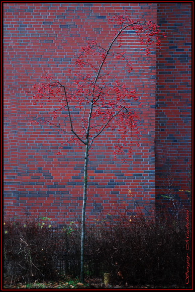 Fotografie(070).jpg