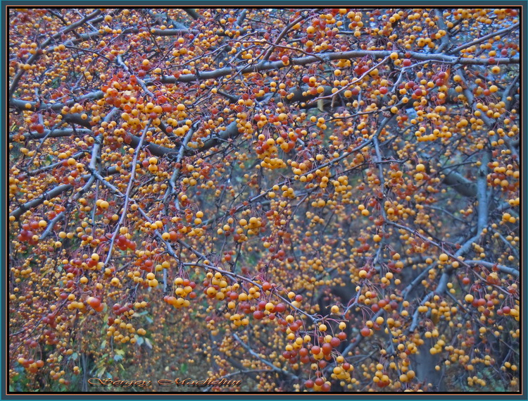 Fotografie(075).jpg
