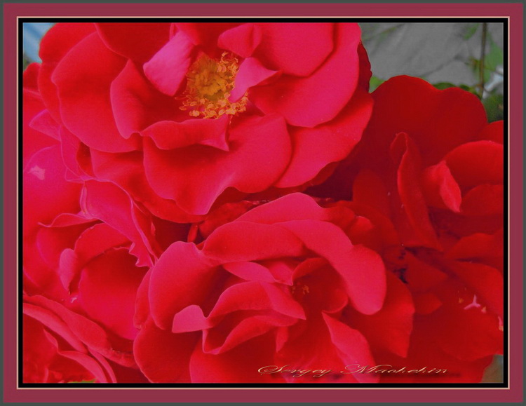 Fotografie(077).jpg