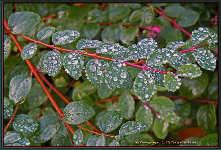 Fotografie(078).jpg