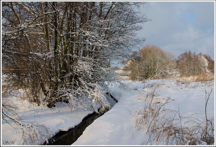 Fotografie(099).jpg