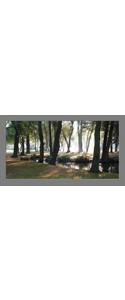 Fotografie(034)