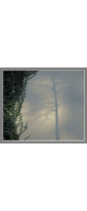 Fotografie(040)