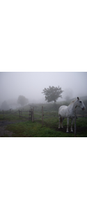 Fotografie(064)