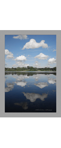 Fotografie(085)