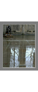 Fotografie(091)