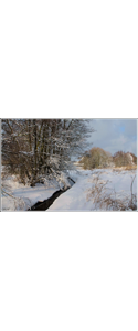 Fotografie(099)