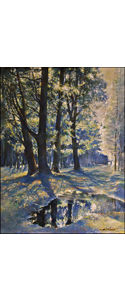 Nach-dem-Regen-Oel-Leinwand-60x80cm-2001-Hamburg