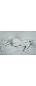 Skizze(020)